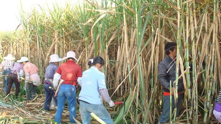 20/21榨季截至9月底全國食糖産銷進度